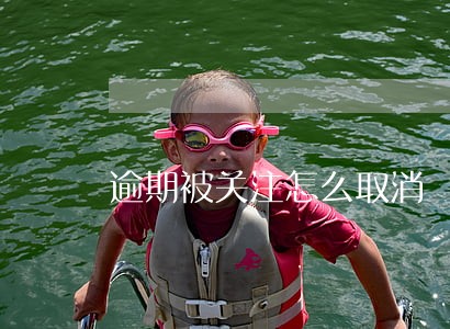 逾期被关注怎么取消 逾期被关注怎么取消