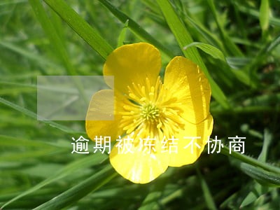 逾期被冻结不协商 逾期被冻结不协商