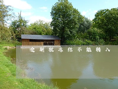 逾期被冻结不能转入 逾期被冻结不能转入