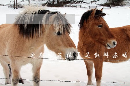 逾期被冻结了还能解冻吗 逾期被冻结了还能解冻吗