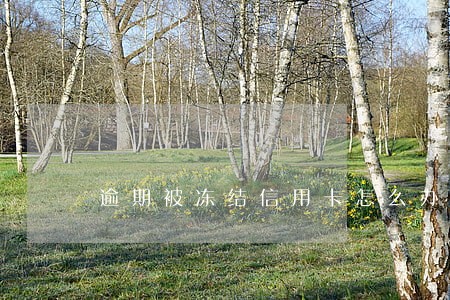 逾期被冻结信用卡怎么办