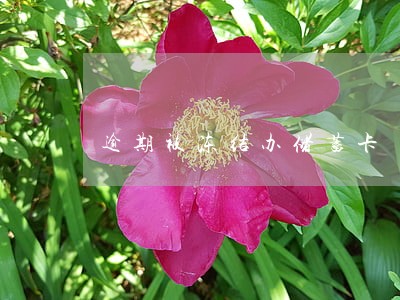 逾期被冻结办储蓄卡