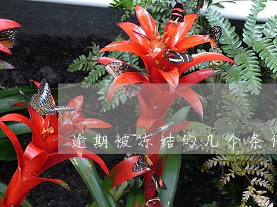 逾期被冻结的几个条件