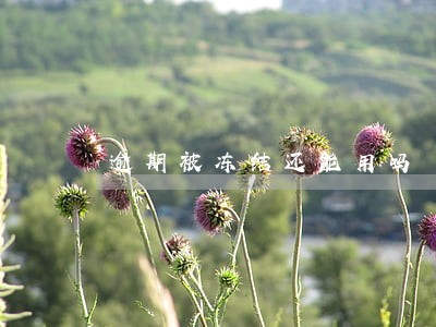 逾期被冻结还能用吗 逾期被冻结还能用吗