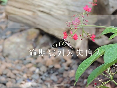 逾期被列为失信人 逾期被列为失信人