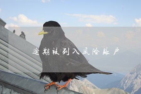 逾期被列入风险账户 逾期被列入风险账户