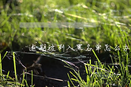 逾期被列入黑名单怎么办 逾期被列入黑名单怎么办