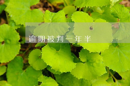 逾期被判一年半 逾期被判一年半