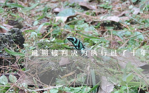 逾期被判决为执行过了十年了 逾期被判决为执行过了十年了