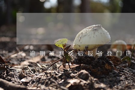 逾期被判决后报备登门执行流程 逾期被判决后报备登门执行流程