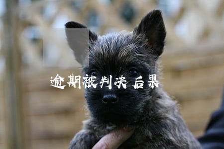 逾期被判决后果 逾期被判决后果