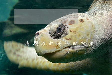 逾期被取消临时额度 逾期被取消临时额度