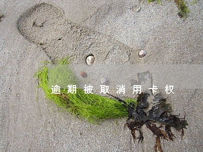 逾期被取消用卡权 逾期被取消用卡权