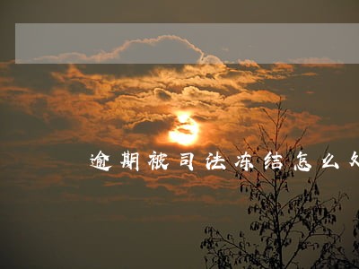 逾期被司法冻结怎么处理 逾期被司法冻结怎么处理