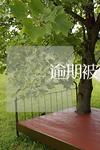 逾期被告一般多久开庭 逾期被告一般多久开庭