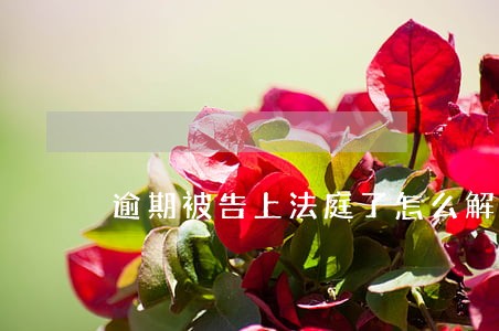 逾期被告上法庭了怎么解决 逾期被告上法庭了怎么解决