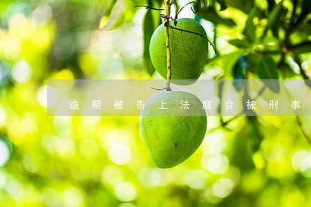 逾期被告上法庭会被刑事拘留吗 逾期被告上法庭会被刑事拘留吗