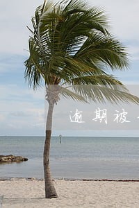 逾期被告上法庭咋办 逾期被告上法庭咋办