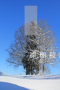 逾期被告人无法出庭怎么办