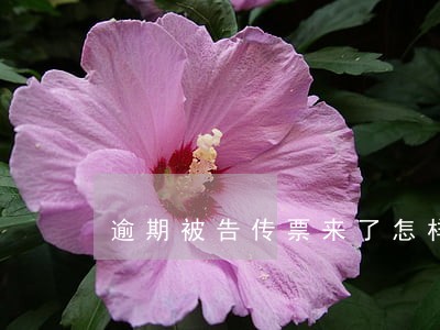 逾期被告传票来了怎样撤诉 逾期被告传票来了怎样撤诉