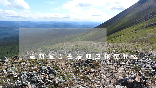 逾期被告去法庭应该带什么 逾期被告去法庭应该带什么