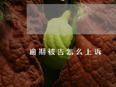 逾期被告怎么上诉 逾期被告怎么上诉