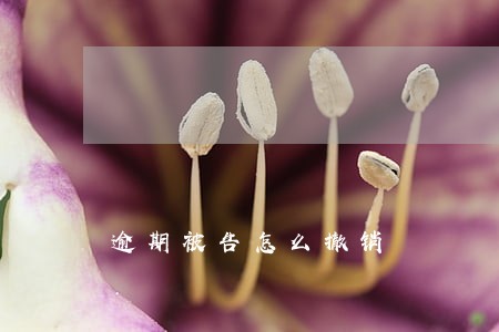 逾期被告怎么撤销 逾期被告怎么撤销