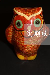 逾期被告怎么申诉