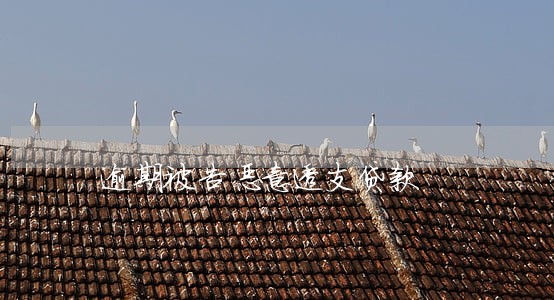 逾期被告恶意透支贷款