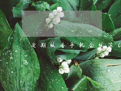 逾期被告手机会被冻结吗 逾期被告手机会被冻结吗
