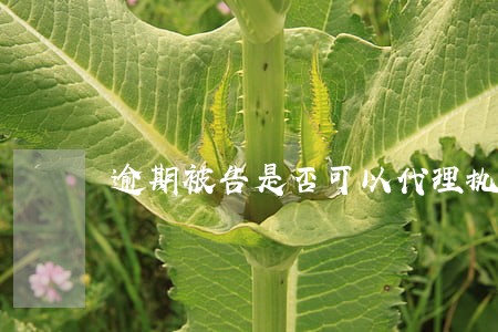 逾期被告是否可以代理执行