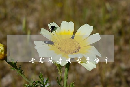 逾期被告是否要坐牢 逾期被告是否要坐牢