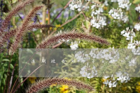 逾期被告的房子会随时冻结吗 逾期被告的房子会随时冻结吗
