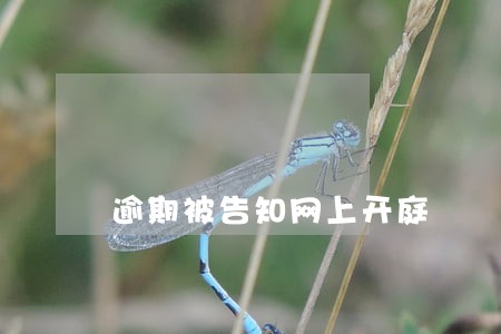 逾期被告知网上开庭 逾期被告知网上开庭