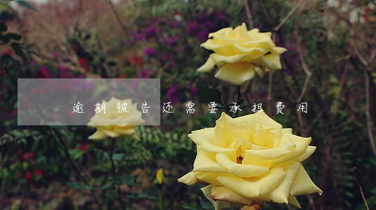 逾期被告还需要承担费用