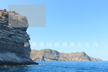 逾期被国税锁掉怎么办