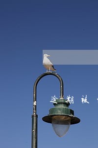 逾期被家人知道了 逾期被家人知道了