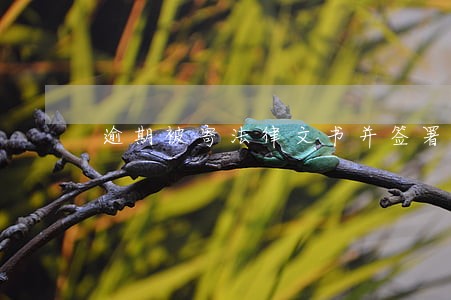 逾期被寄法律文书并签署回执 逾期被寄法律文书并签署回执