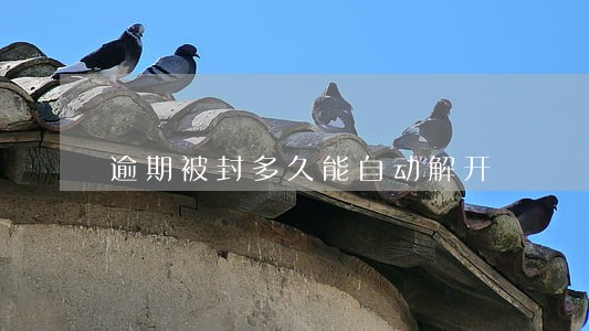 逾期被封多久能自动解开 逾期被封多久能自动解开