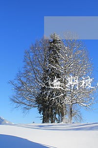 逾期被小贷 逾期被小贷