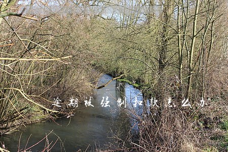 逾期被强制扣款怎么办 逾期被强制扣款怎么办