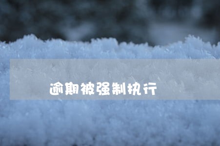 逾期被强制执行 逾期被强制执行