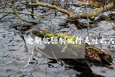 逾期被强制执行是什么人上门