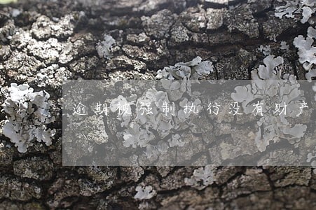 逾期被强制执行没有财产 逾期被强制执行没有财产
