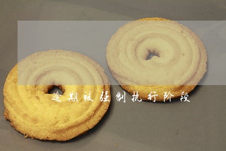 逾期被强制执行阶段 逾期被强制执行阶段
