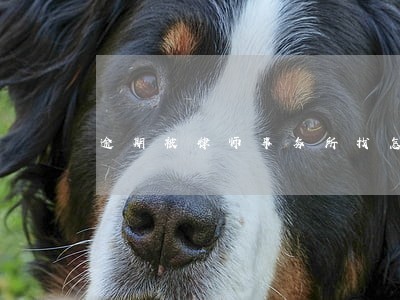 逾期被律师事务所找怎么办 逾期被律师事务所找怎么办