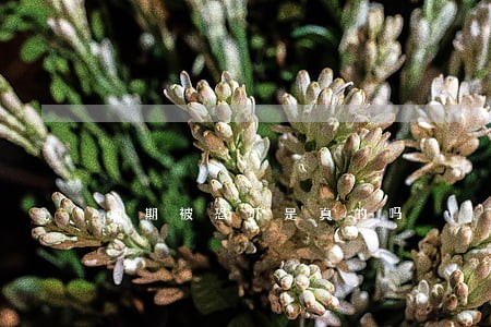 逾期被恐吓是真的吗 逾期被恐吓是真的吗