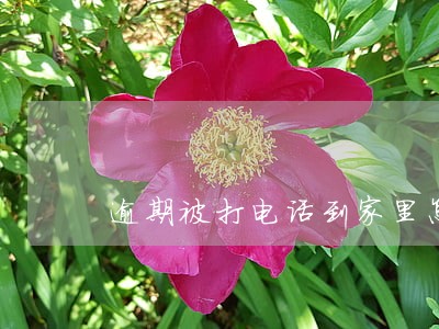 逾期被打电话到家里怎么办 逾期被打电话到家里怎么办