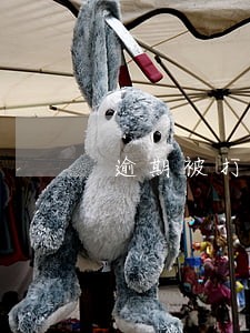 逾期被打电话家里通讯录 逾期被打电话家里通讯录