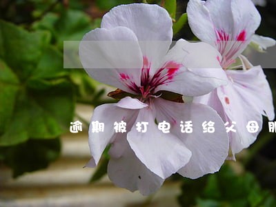 逾期被打电话给父母朋友 逾期被打电话给父母朋友
